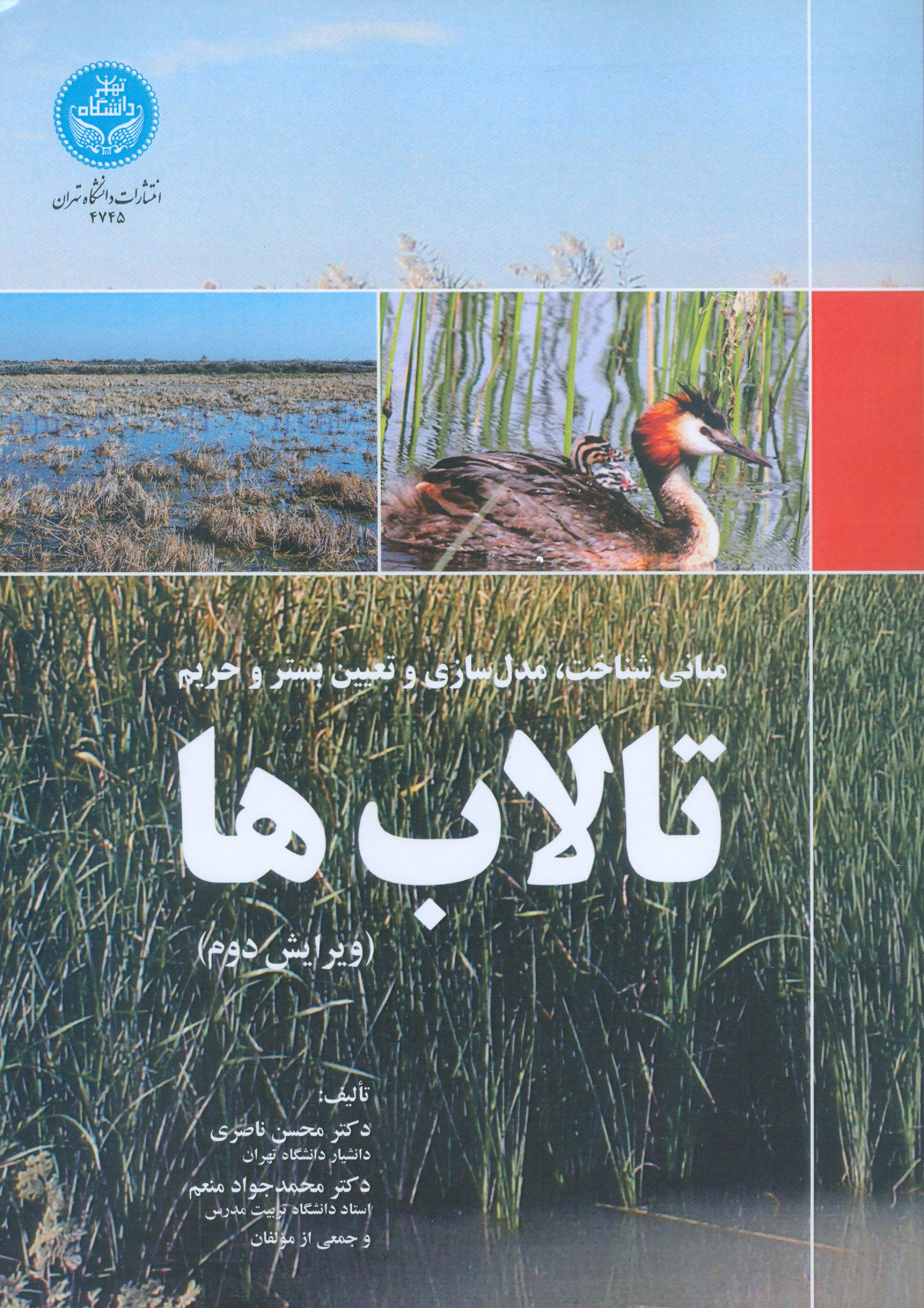 مبانی شناخت، مدل سازی و تعیین بستر و حریم